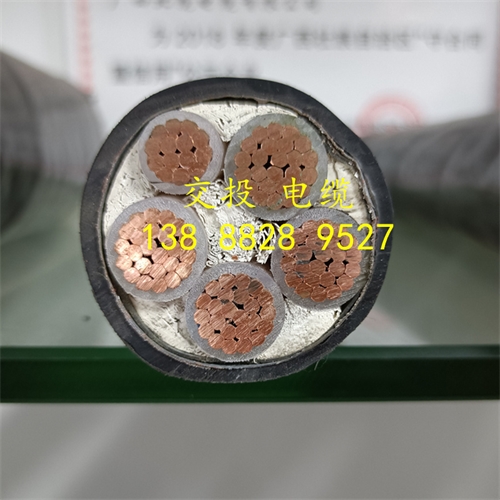 m.digitalthermostatguys.com
