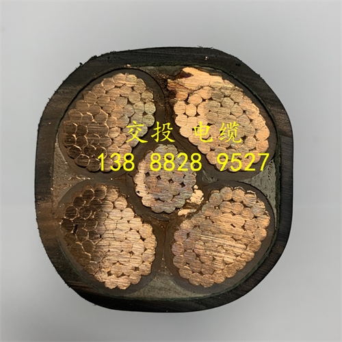 m.digitalthermostatguys.com