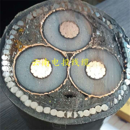 m.digitalthermostatguys.com
