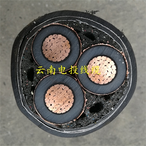 m.digitalthermostatguys.com