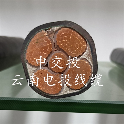m.digitalthermostatguys.com