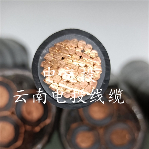 m.digitalthermostatguys.com
