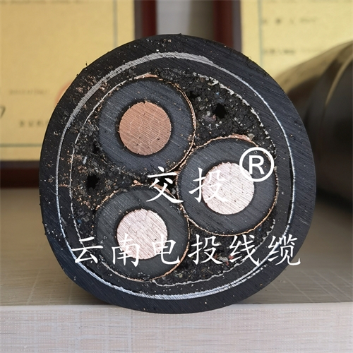 m.digitalthermostatguys.com