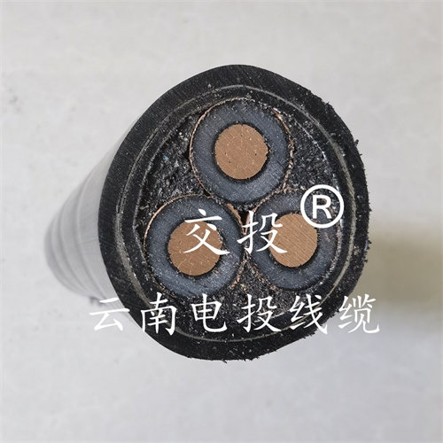 m.digitalthermostatguys.com