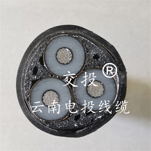 m.digitalthermostatguys.com
