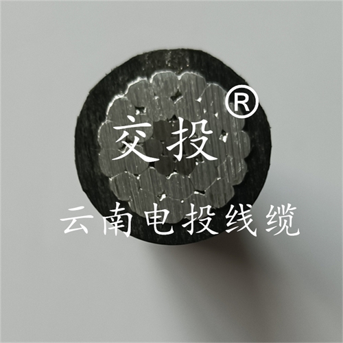 m.digitalthermostatguys.com